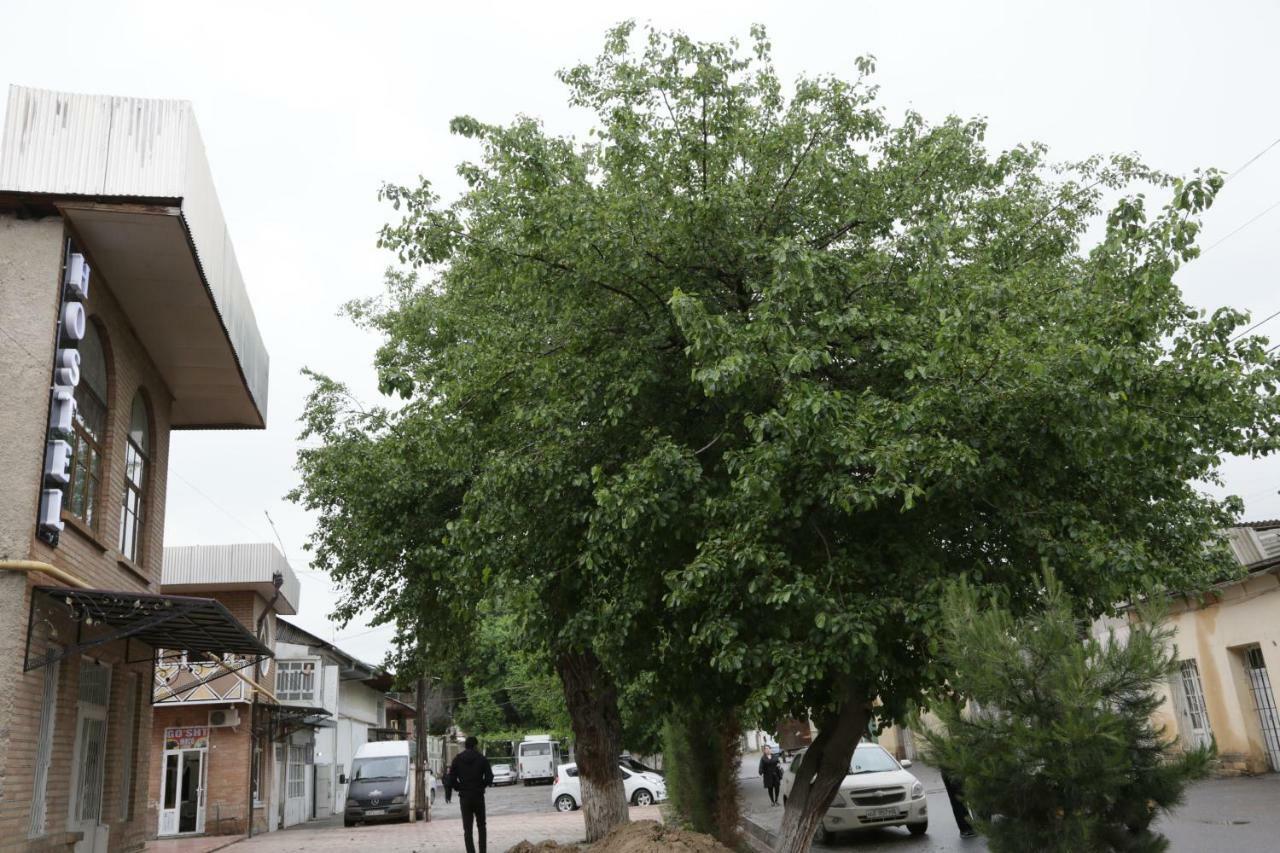 Hostel Gulsara Samarkand Exterior foto